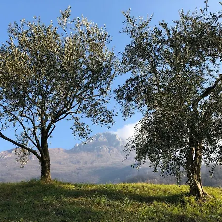 Daire Casa Adelia Mandello del Lario